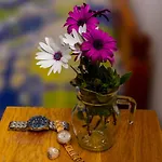 Elena-stella Arillas Corfu Aparthotel 4*